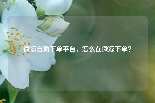 微凉自助下单平台，怎么在微凉下单？