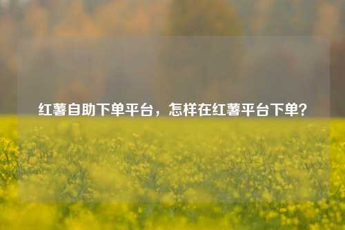 红薯自助下单平台，怎样在红薯平台下单？