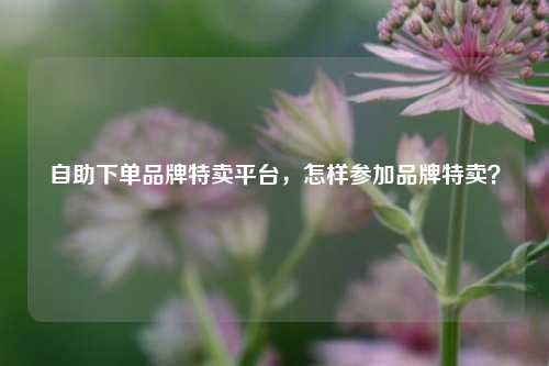 自助下单品牌特卖平台，怎样参加品牌特卖？