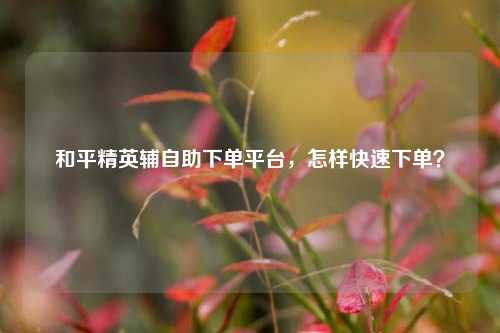 和平精英辅自助下单平台，怎样快速下单？