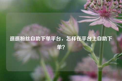 逛逛粉丝自助下单平台，怎样在平台上自助下单？