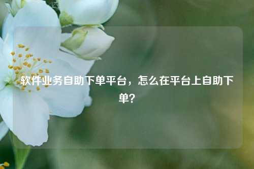 软件业务自助下单平台，怎么在平台上自助下单？