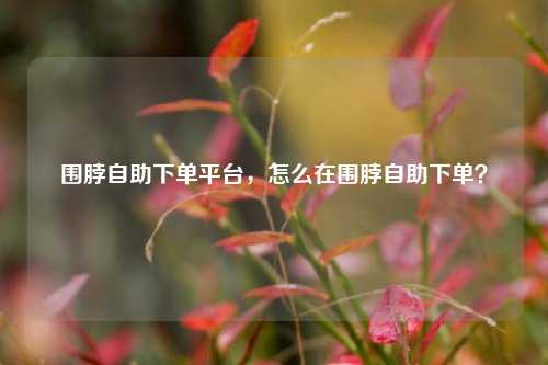 围脖自助下单平台，怎么在围脖自助下单？