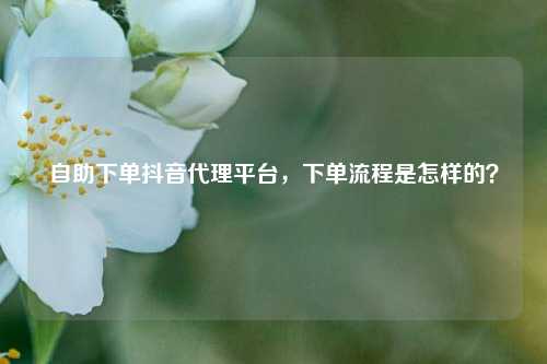 自助下单抖音代理平台，下单流程是怎样的？