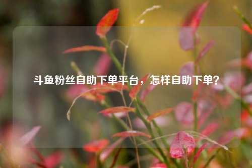 斗鱼粉丝自助下单平台，怎样自助下单？