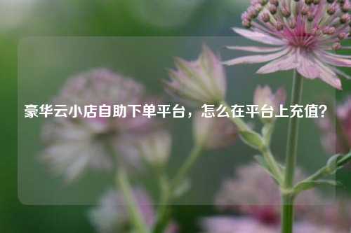 豪华云小店自助下单平台，怎么在平台上充值？