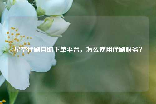 星空代刷自助下单平台，怎么使用代刷服务？