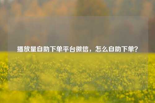 播放量自助下单平台微信，怎么自助下单？
