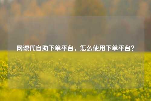 网课代自助下单平台，怎么使用下单平台？