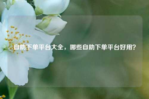 自助下单平台大全，哪些自助下单平台好用？