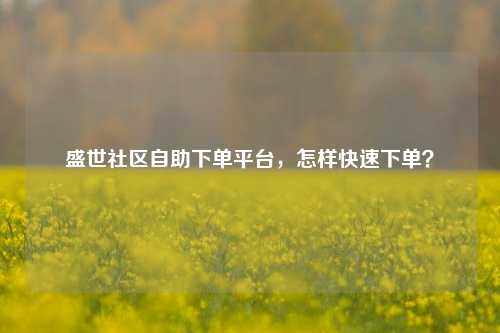 盛世社区自助下单平台，怎样快速下单？