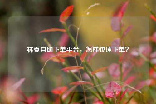 林夏自助下单平台，怎样快速下单？