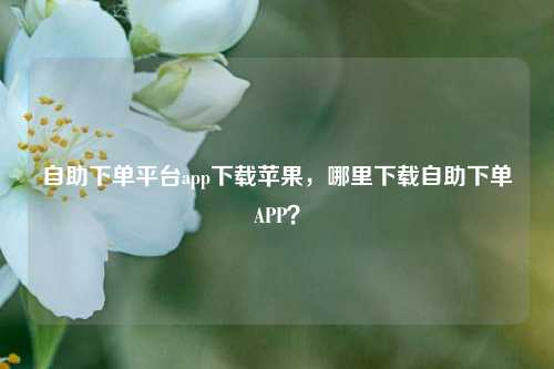 自助下单平台app下载苹果，哪里下载自助下单APP？