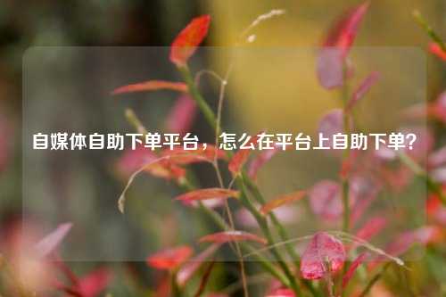 自媒体自助下单平台，怎么在平台上自助下单？